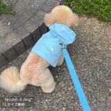 【ナイロンポケットハーネス リードセット】ハーネス リード | PlusNao | 詳細画像9 