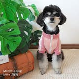 【パステルトラックジャケット】S M Lペットウェア | PlusNao | 詳細画像10 