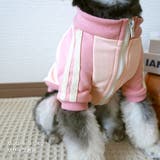 【パステルトラックジャケット】S M Lペットウェア | PlusNao | 詳細画像11 