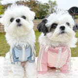 【パステルトラックジャケット】S M Lペットウェア | PlusNao | 詳細画像16 