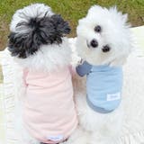 【パステルトラックジャケット】S M Lペットウェア | PlusNao | 詳細画像17 