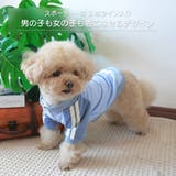 【パステルトラックジャケット】S M Lペットウェア | PlusNao | 詳細画像2 