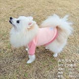 【パステルトラックジャケット】S M Lペットウェア | PlusNao | 詳細画像20 