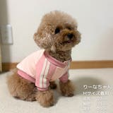 【パステルトラックジャケット】S M Lペットウェア | PlusNao | 詳細画像21 