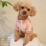 【パステルトラックジャケット】S M Lペットウェア | PlusNao | 詳細画像24 