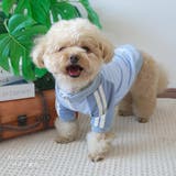 【パステルトラックジャケット】S M Lペットウェア | PlusNao | 詳細画像8 