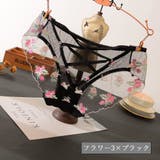 スタンダードショーツ バックデザイン バッククロス | PlusNao | 詳細画像17