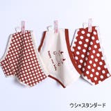 ショーツ 3枚セット キッズ | PlusNao | 詳細画像13 