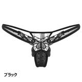 Tバックショーツ ソング 総レース | PlusNao | 詳細画像7