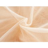 ヒップハンガーショーツ レディース 単品 | PlusNao | 詳細画像18 