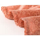 スタンダードショーツ レディース 下着 | PlusNao | 詳細画像12 