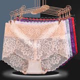 スタンダードショーツ パンツ レディース | PlusNao | 詳細画像8 