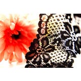 Tバック ショーツ レディース | PlusNao | 詳細画像11 