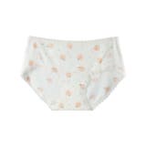 スタンダードショーツ レディース 女性 | PlusNao | 詳細画像3 