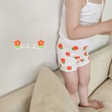 ショーツ 3枚セット スタンダード | PlusNao | 詳細画像3 