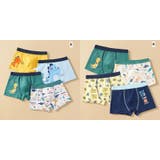 ボクサーパンツ 4枚セット 4柄セット | PlusNao | 詳細画像19 