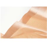 ショーツ シームレス ランジェリー | PlusNao | 詳細画像13 