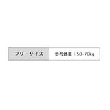 ふんどしショーツ ふんどし型 ショーツ | PlusNao | 詳細画像15