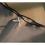 ショーツ スタンダードショーツ レディース | PlusNao | 詳細画像16