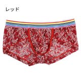 ボクサーパンツ 総レース ローライズ | PlusNao | 詳細画像4