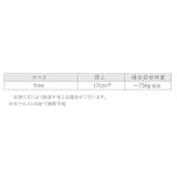 Gストリング Tバックショーツ レディース | PlusNao | 詳細画像20