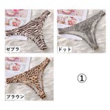 Tバック ショーツ 3枚セット | PlusNao | 詳細画像16 