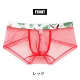 ブリーフパンツ メンズ ショーツ | PlusNao | 詳細画像17