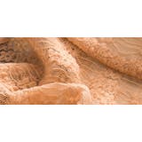 スタンダードショーツ ハイウエスト インナー | PlusNao | 詳細画像9 