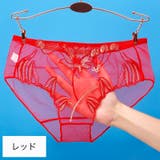 ショーツ スタンダードショーツ レディース | PlusNao | 詳細画像4 