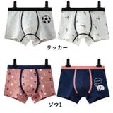 ボクサーパンツ 2枚セット パンツ | PlusNao | 詳細画像10 