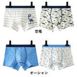 ボクサーパンツ 2枚セット パンツ | PlusNao | 詳細画像11 