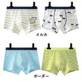 ボクサーパンツ 2枚セット パンツ | PlusNao | 詳細画像12 