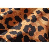 Tバックショーツ レディース 女性 | PlusNao | 詳細画像12 