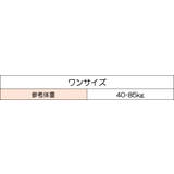 Tバック ショーツ メンズ | PlusNao | 詳細画像17