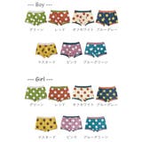 パンツ ショーツ ボクサーパンツ | PlusNao | 詳細画像14 