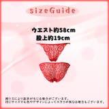 ヒップハンガー ローライズ レディース | PlusNao | 詳細画像11 