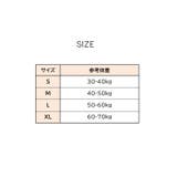 シームレスショーツ 同色3枚セット レディース | PlusNao | 詳細画像20