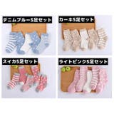 子供用クルーソックス 5足セット キッズ | PlusNao | 詳細画像19