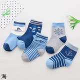 ソックス 5足セット クルーソックス | PlusNao | 詳細画像13