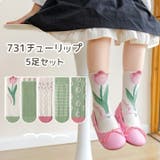 クルーソックス 5足セット キッズ | PlusNao | 詳細画像18 