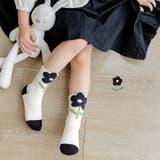 クルーソックス 5足セット キッズ | PlusNao | 詳細画像4 