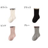 靴下 クルーソックス キッズ | PlusNao | 詳細画像18 