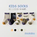 子供用靴下 子供用ソックス 5足セット | PlusNao | 詳細画像1 