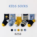 子供用靴下 子供用ソックス 5足セット | PlusNao | 詳細画像6 