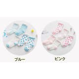靴下 クルーソックス 5足セット | PlusNao | 詳細画像16