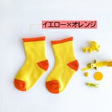 靴下 クルーソックス キッズ | PlusNao | 詳細画像14 