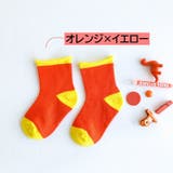 靴下 クルーソックス キッズ | PlusNao | 詳細画像15 