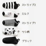 ショートソックス レディース 靴下 | PlusNao | 詳細画像20 