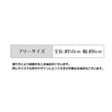 靴下 シースルーソックス レディース | PlusNao | 詳細画像16