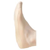 フットカバー カバーソックス レディース | PlusNao | 詳細画像8 